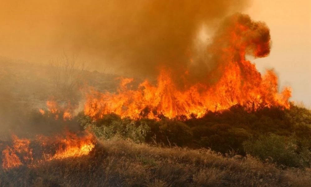 Ανατολική Μάνη: Η Πυροσβεστική συνεχίζει να δίνει μάχη με τις φλόγες- Τρία τα πύρινα μέτωπα – Σε Δεσφίνα, Σκαμνάκι και Μονή Τσίγκου